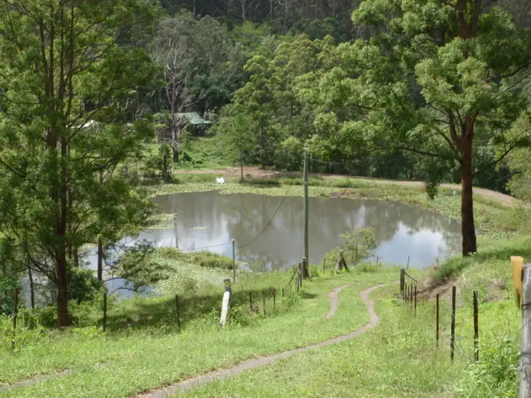 Fourth view of Homely rural property listing, 29 Ramberts Road, Eudlo QLD 4554