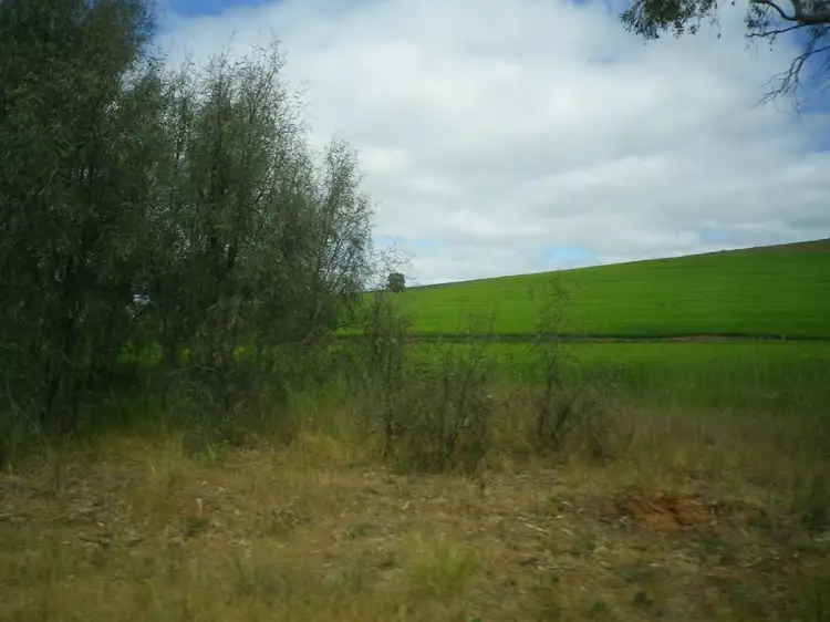 Fourth view of Homely rural property listing, 219 Watts Range Road, Gulnare SA 5471