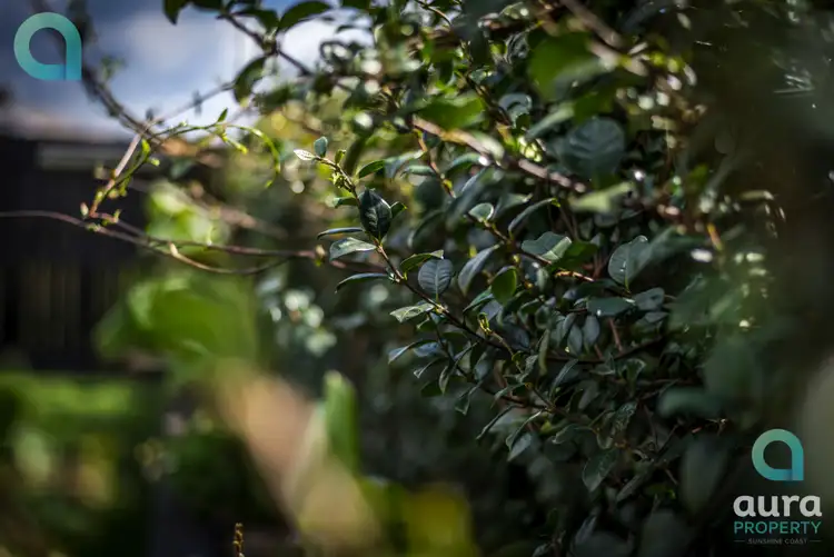 Sixth view of Homely house listing, 53 Sunshine Cres, Caloundra West QLD 4551