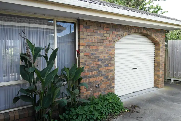 Second view of Homely unit listing, 3/24 Mcmillan Street, Traralgon VIC 3844