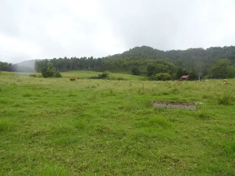 Main view of Homely rural property listing, 250 WARRAZAMBIL CREEK ROAD, Kyogle NSW 2474