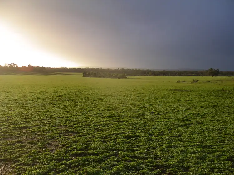 Seventh view of Homely land listing, 3000 St Arnaud Road, Tarnagulla VIC 3551