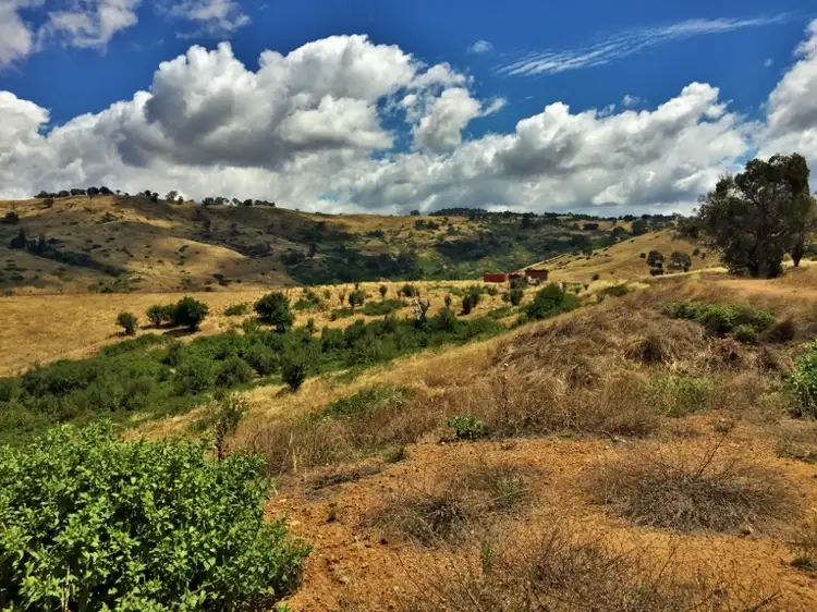 Fourth view of Homely rural property listing, Lot 31 Bownds Lane, Bethanga VIC 3691