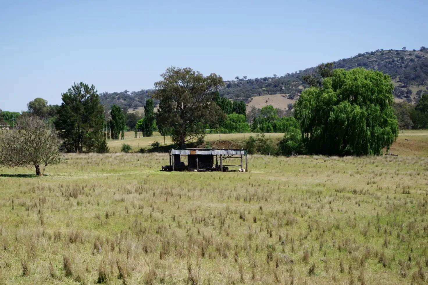 Main view of Homely land listing, Lot 357 Carpet Street, Wallabadah NSW 2343