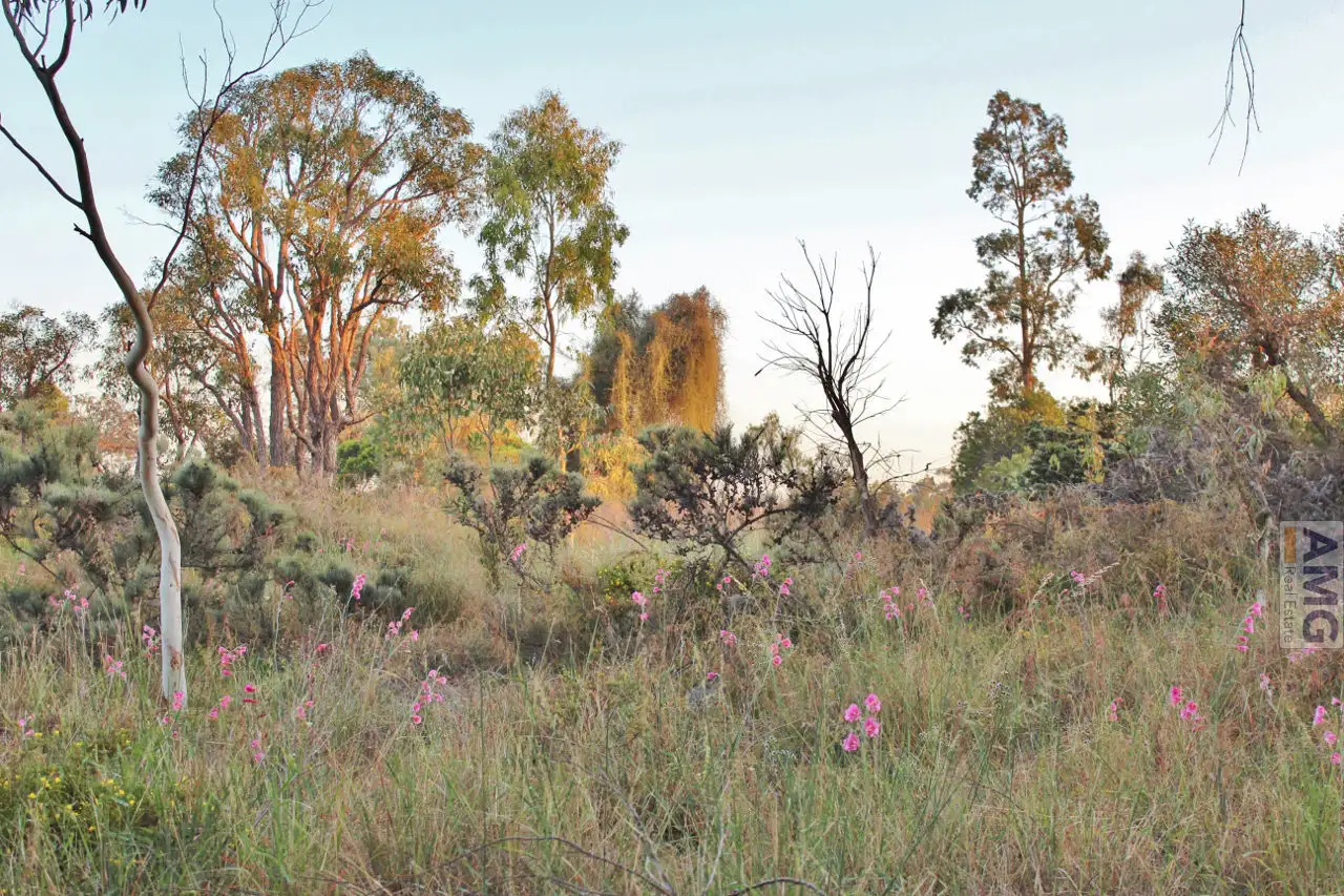Main view of Homely land listing, 36 Lakes Way, Jandakot WA 6164
