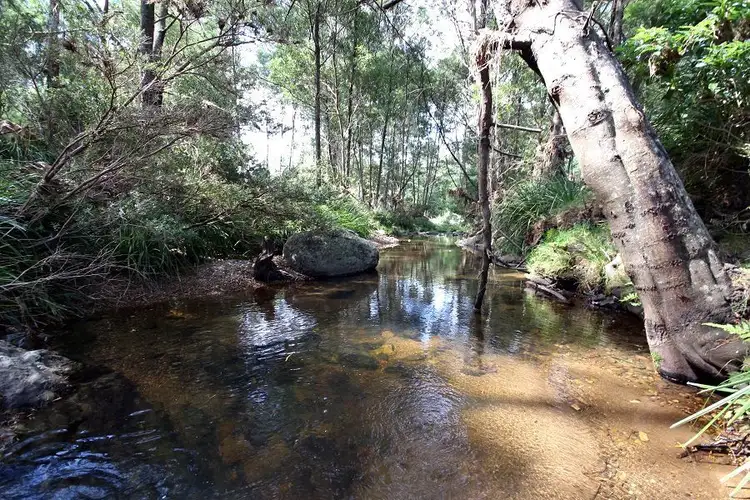 Third view of Homely rural property listing, 916 Nethercote Road, Nethercote NSW 2549