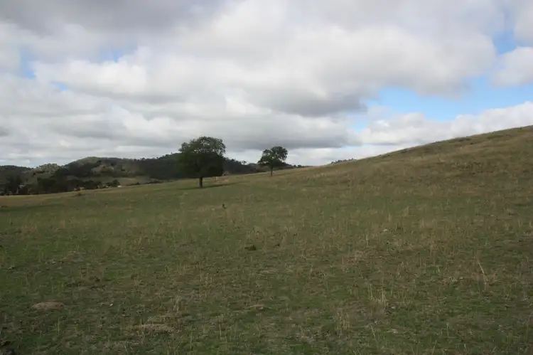 Fifth view of Homely rural property listing, 1168 GOOLMA Road, Mudgee NSW 2850