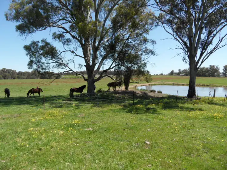 Third view of Homely rural property listing, 27 Border Gate Road, Stanthorpe QLD 4380