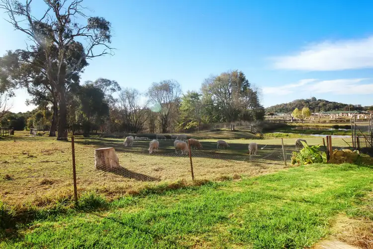 Seventh view of Homely house listing, 5 Phillips Avenue, Uralla NSW 2358