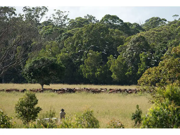 Fourth view of Homely rural property listing, 80 Vallances Road, Mullumbimby NSW 2482
