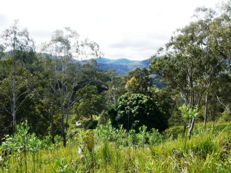 Seventh view of Homely rural property listing, 8 BRINDLE CREEK ROAD, Kyogle NSW 2474