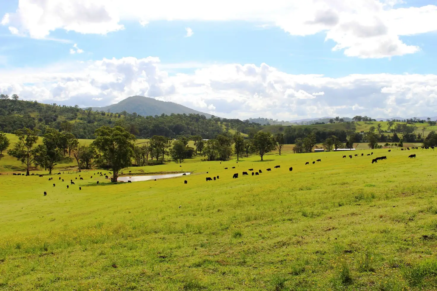 Main view of Homely rural property listing, Address available on request