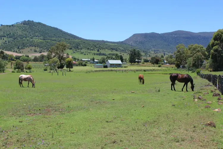 Fifth view of Homely rural property listing, 246 Washbourne Road, Emu Vale QLD 4371