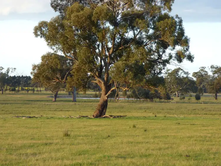 Fourth view of Homely land listing, L1/ 663 Burness Road, Tarnook VIC 3670