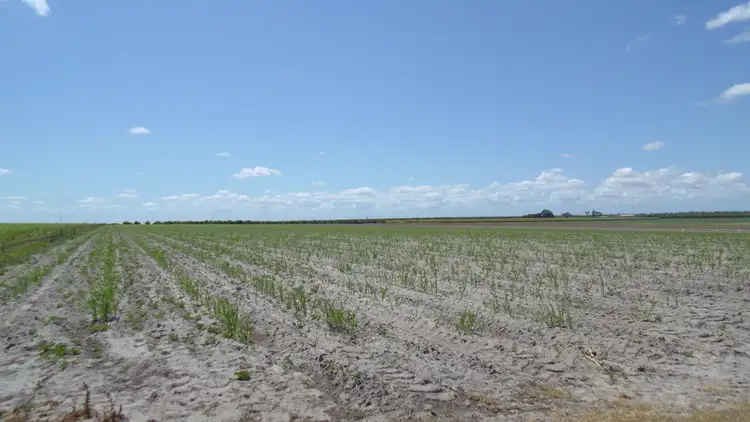 Third view of Homely rural property listing, Lot 1 Russells Rd, Farnsfield QLD 4660