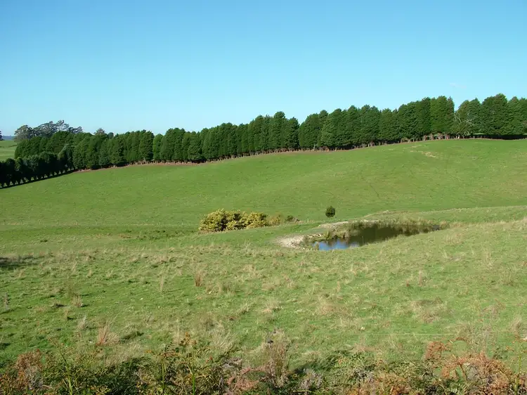 Sixth view of Homely rural property listing, Address available on request