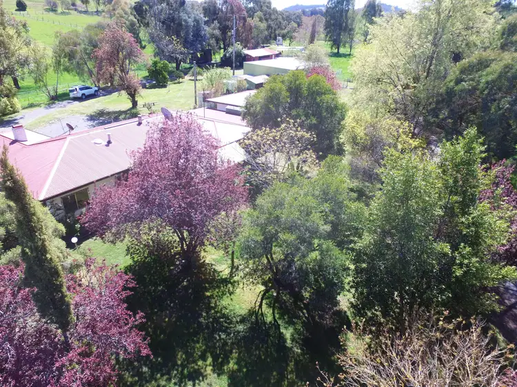 Main view of Homely rural property listing, 383 Tunnel Gap Road, Yackandandah VIC 3749