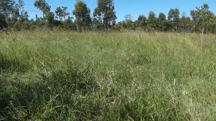 Main view of Homely land listing, 359 Railway Road, Booyal QLD 4671