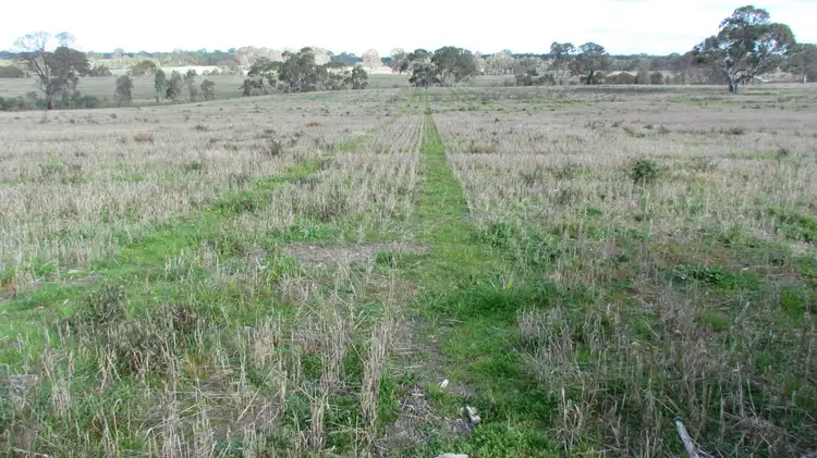 Fifth view of Homely rural property listing, 1546 Chetwynd St East, Chetwynd VIC 3312