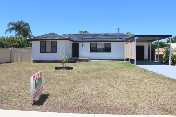 113 Satur Rd, Scone NSW 2337