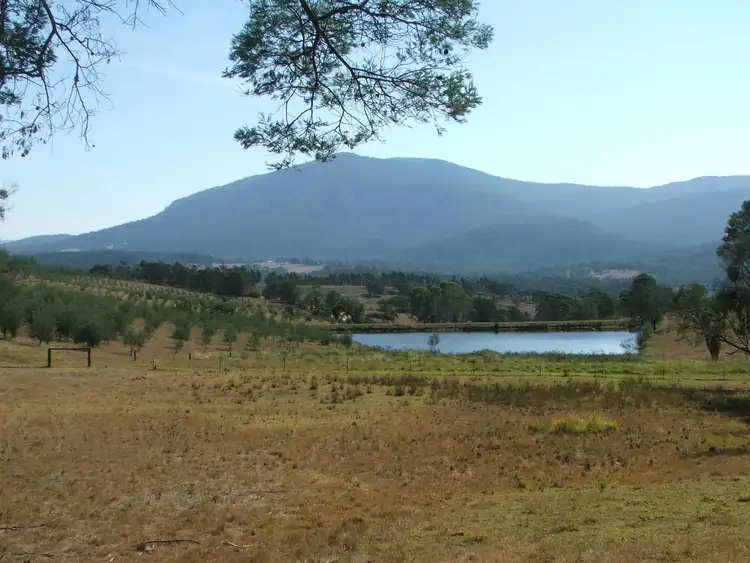 Sixth view of Homely rural property listing, 201 Pericoe Road, Towamba NSW 2550