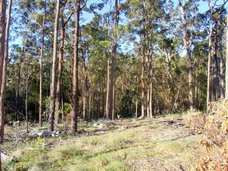 Main view of Homely rural property listing, L88 Oaklands Road, Pambula NSW 2549