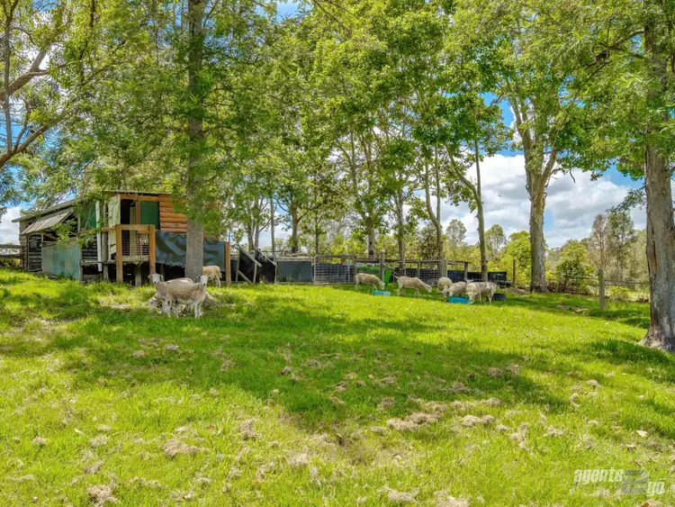 Fifth view of Homely rural property listing, 80 Witham Road, The Dawn QLD 4570