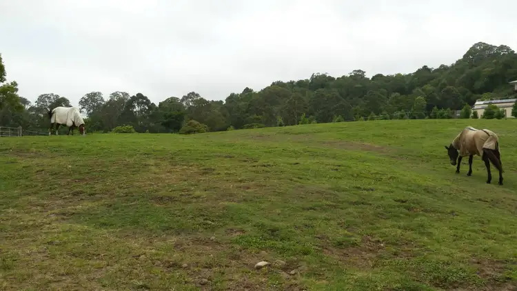 Sixth view of Homely land listing, 80 Spring Pastures Drive, Mapleton QLD 4560