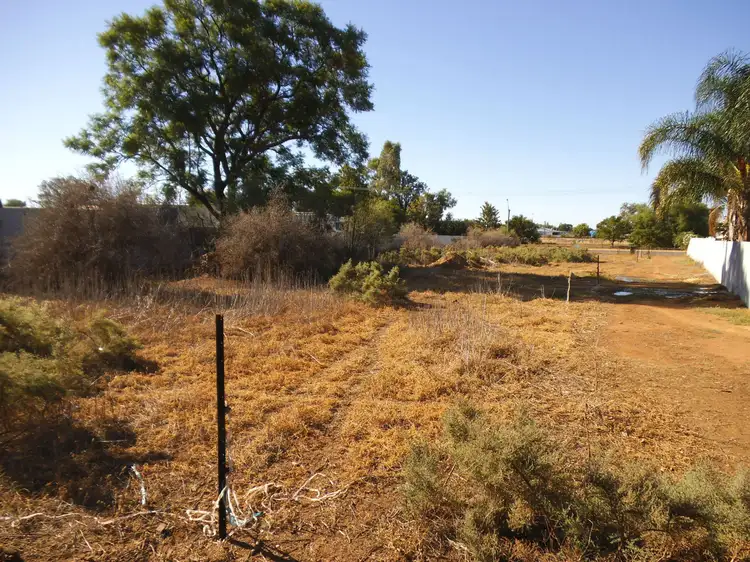 Fifth view of Homely land listing, 183 Pangee Street, Nyngan NSW 2825