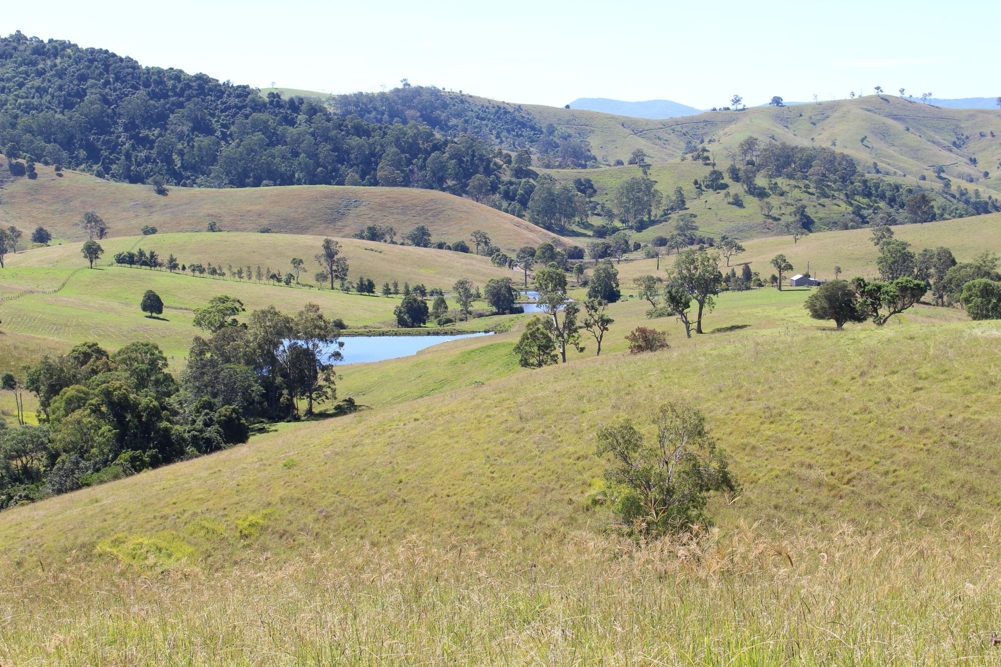 Main view of Homely rural property listing, Address available on request