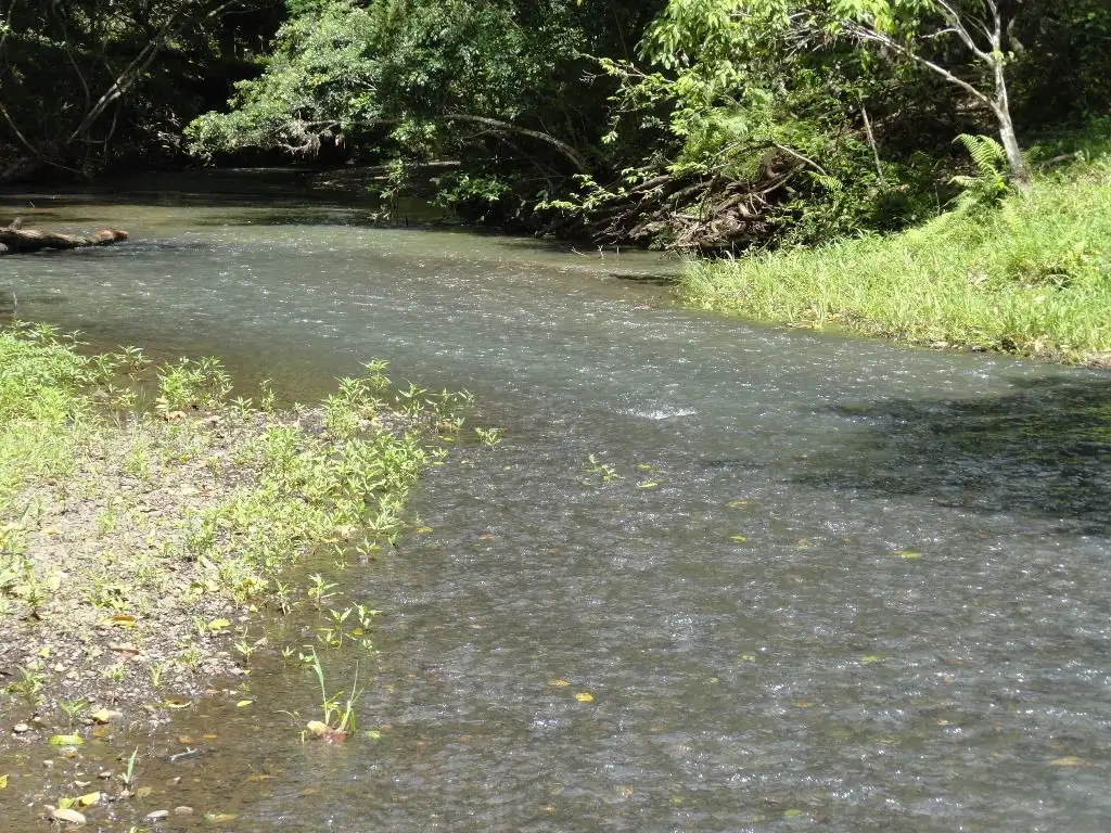 Main view of Homely rural property listing, Address available on request