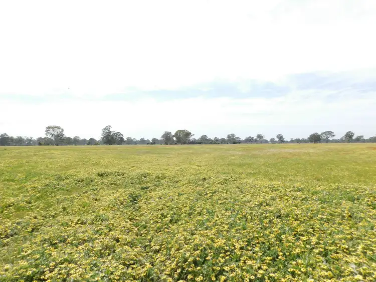 Fifth view of Homely land listing, Lot 5 Casterton Road, Penola SA 5277