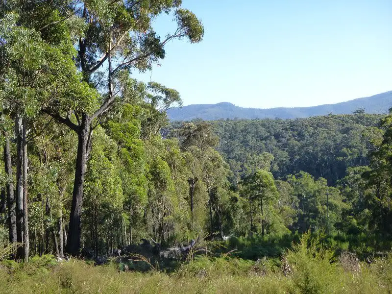 Main view of Homely rural property listing, Lot 964 Mt Darragh Road, Lochiel NSW 2549