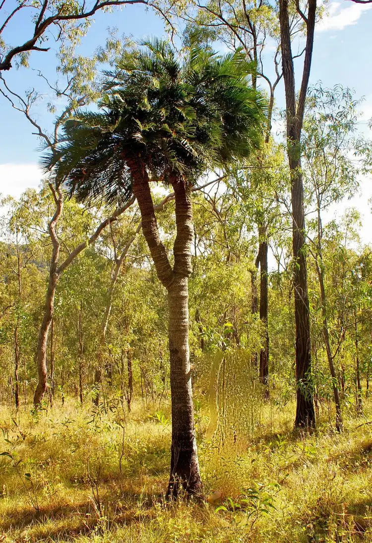 Fifth view of Homely land listing, Lot 196 DAVIES Road, Captain Creek QLD 4677
