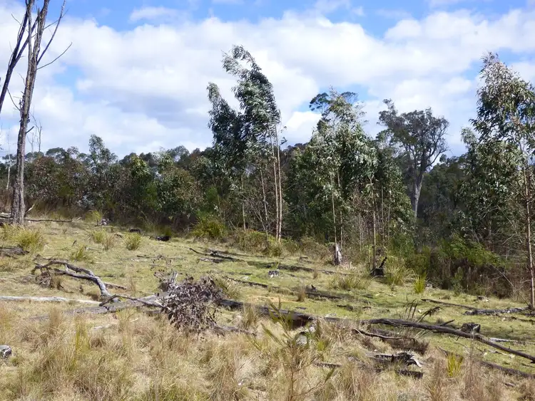 Third view of Homely rural property listing, Lot 35 DP 750208, Narrabarba NSW 2551