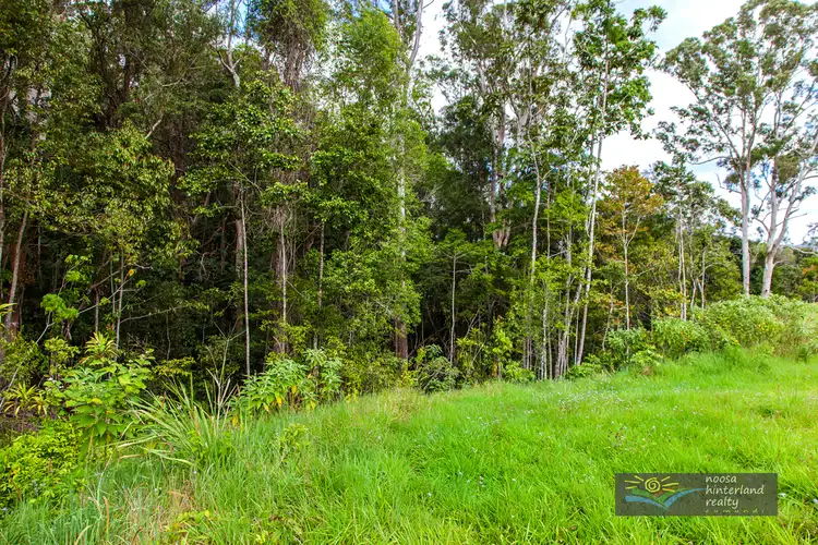 Sixth view of Homely land listing, 170 Jocelyn Drv, Eumundi QLD 4562