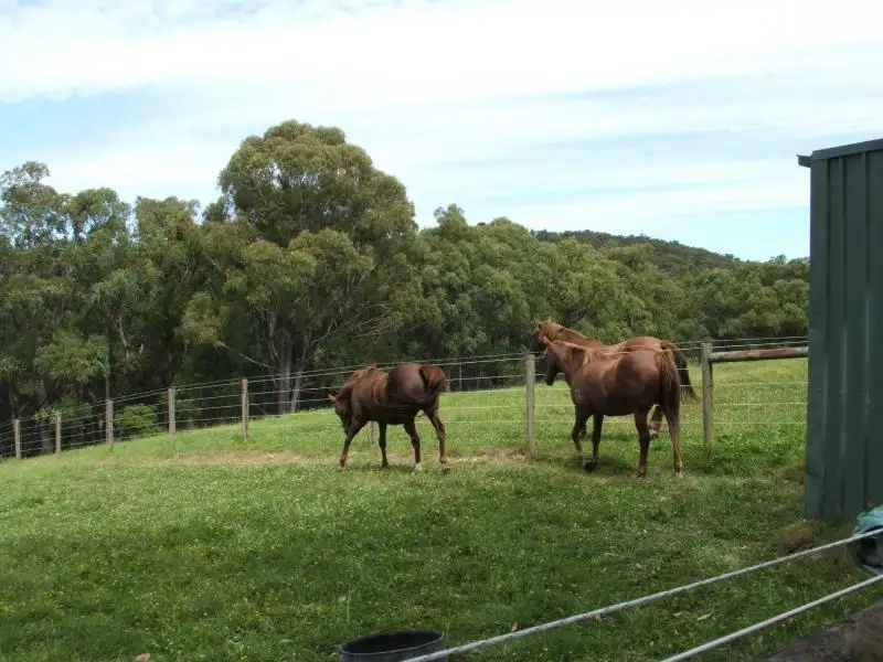 Main view of Homely rural property listing, 255 Mann Road, Pakenham Upper VIC 3810
