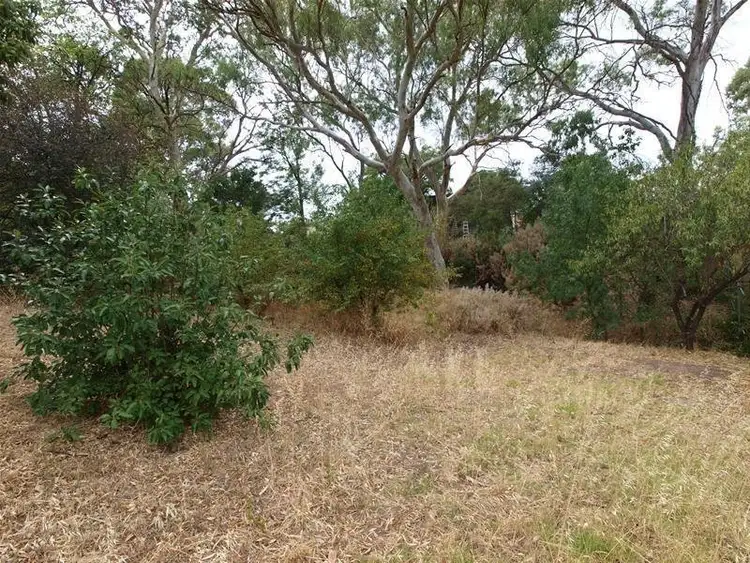 Third view of Homely house listing, 1166 North East Road, St Agnes SA 5097