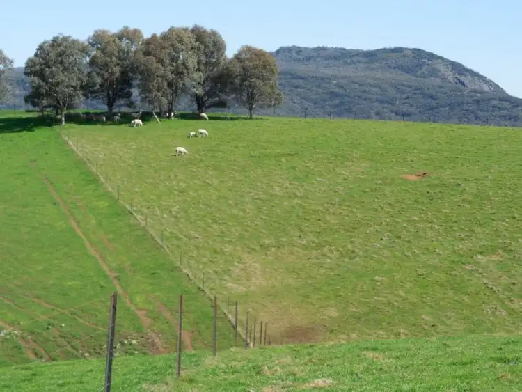 Seventh view of Homely rural property listing, . River Road, Talmalmo NSW 2640