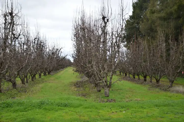Third view of Homely rural property listing, 145 Orrvale Road, Orrvale VIC 3631