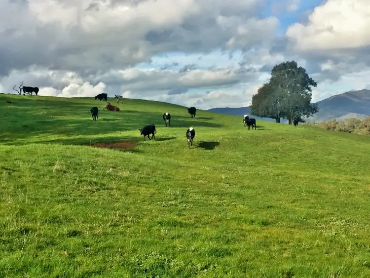 Fifth view of Homely rural property listing, Lot 28 Back Creek Road, Yackandandah VIC 3749