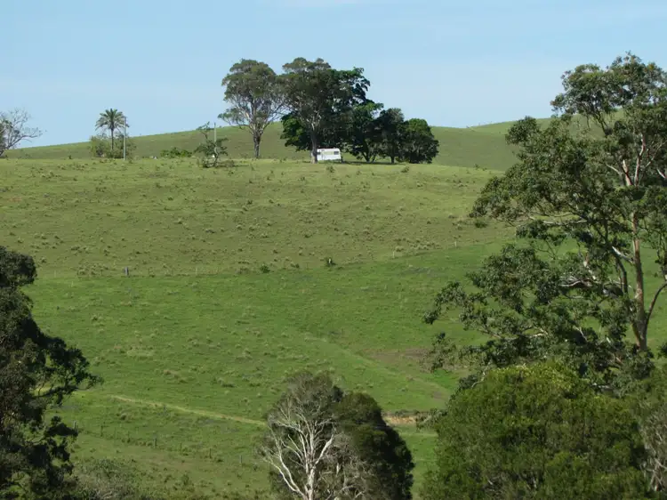 Second view of Homely rural property listing, 782 Bunyah Road, Bunyah NSW 2429