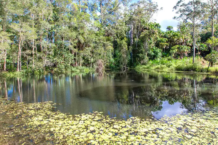 Fifth view of Homely rural property listing, 410 CHEVALLUM Road, Chevallum QLD 4555