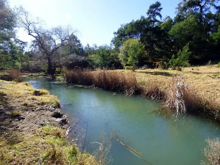 Second view of Homely rural property listing, 20 Fourters Road, Nethercote NSW 2549