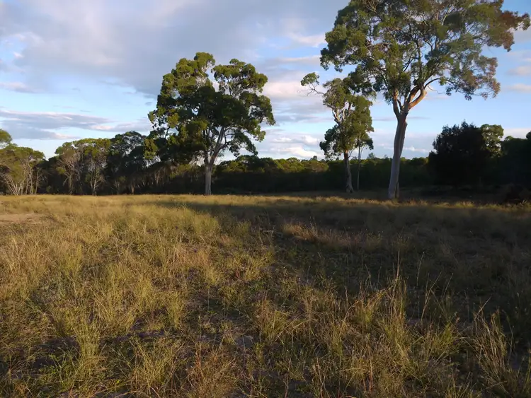 Second view of Homely rural property listing, 1/177 Lawlers Rd, Massie QLD 4370