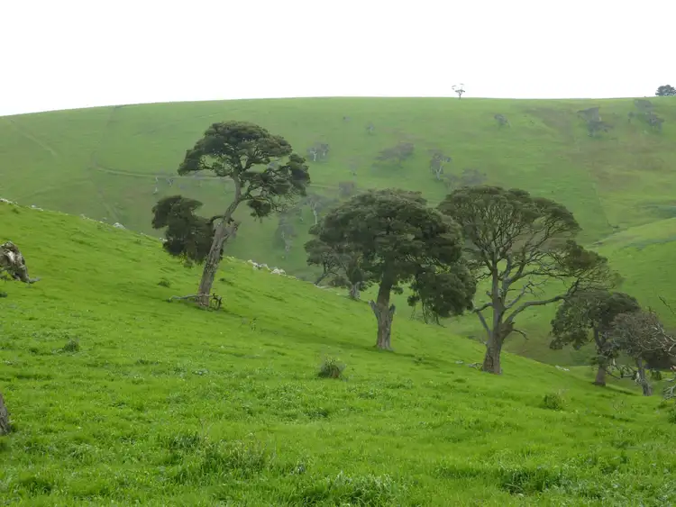 Second view of Homely rural property listing, Lot 52 Forktree Road, Carrickalinga SA 5204