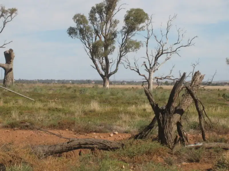 Main view of Homely land listing, Lot 13 Gulf View Road, Napperby SA 5540