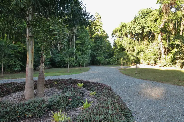 116 Hickory Road, Cow Bay, Daintree QLD 4873