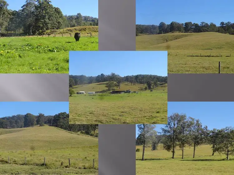 Seventh view of Homely rural property listing, LOT 19 Tunglebung Road, Casino NSW 2470