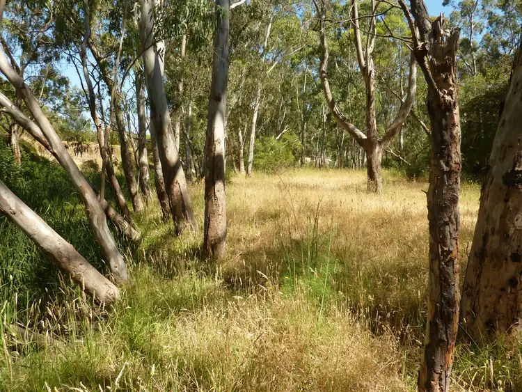 Fourth view of Homely rural property listing, 19 Mount Alma Road, Inman Valley SA 5211